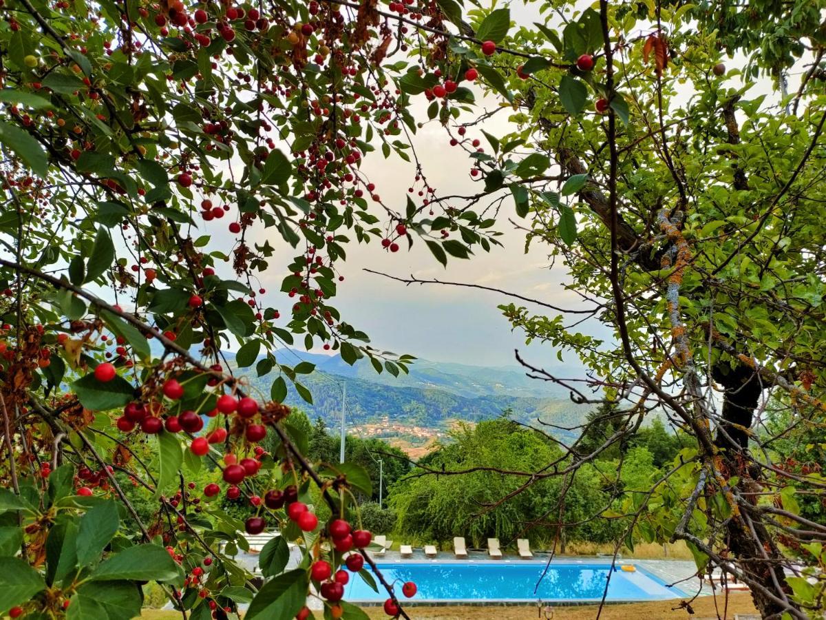 Agriturismo Borgo Biaia Camporgiano Eksteriør bilde